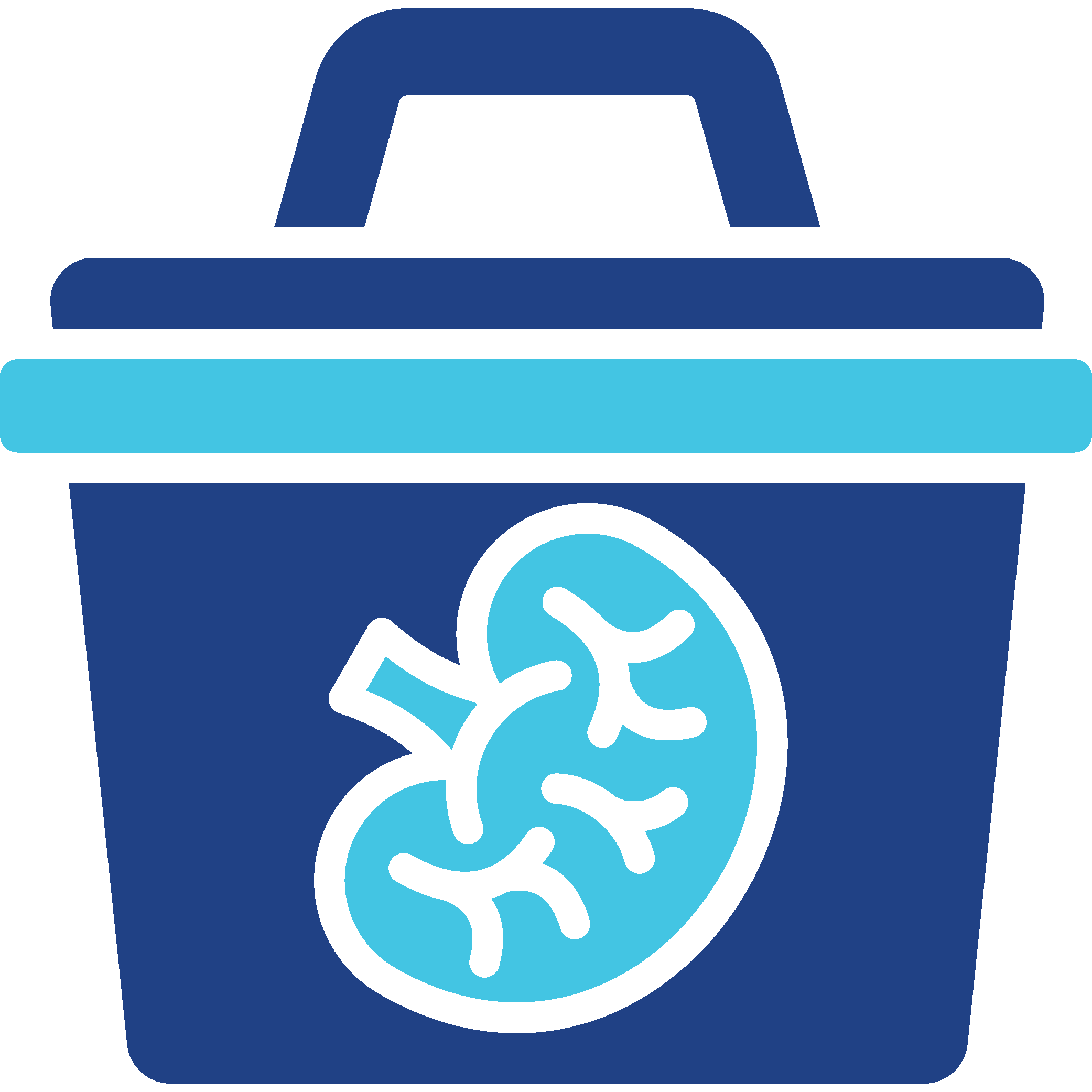 Transplant Icon